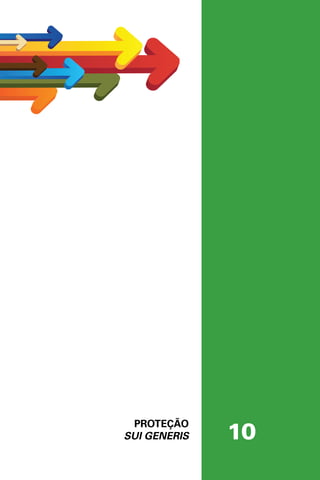 10
PROTEÇÃO
SUI GENERIS
 