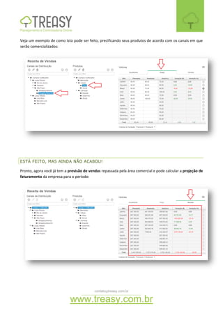 contato@treasy.com.br
www.treasy.com.br
Veja um exemplo de como isto pode ser feito, precificando seus produtos de acordo com os canais em que
serão comercializados:
ESTÁ FEITO, MAS AINDA NÃO ACABOU!
Pronto, agora você já tem a previsão de vendas repassada pela área comercial e pode calcular a projeção de
faturamento da empresa para o período:
 