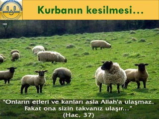 Kurbanın kesilmesi… 