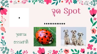 จุด Spot
. ............
จุดตำม
ธรรมชำติ
 