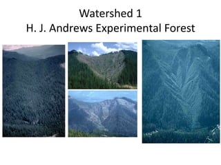 Watershed 1
H. J. Andrews Experimental Forest
Before
Before burning
20 yrs after burning
30 yrs after burning
 
