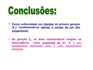  Existe uniformidade nos híbridos da primeira geração
(F1), manifestando-se apenas o carater de um dos
progenitores;
 Na geração F2, as duas características surgiam na
descendência numa proporção de 3:1  3 com
característica dominante para 1 com característica
recessiva.
 