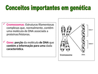  Cromossomas: Estruturas filamentosas
complexas que, normalmente, contêm
uma molécula de DNA associada a
proteínas/histonas.
 Gene: porção da molécula de DNA que
contém a informação para uma dada
característica.
Cromossoma
 