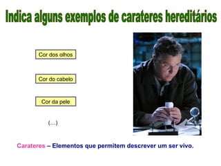 (…)
Carateres – Elementos que permitem descrever um ser vivo.
Cor dos olhos
Cor do cabelo
Cor da pele
 