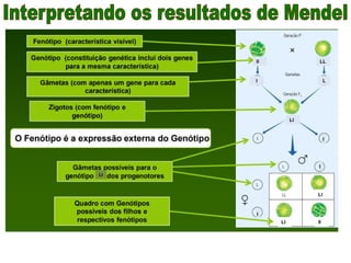 ll LL
l L
Ll
l
Ll
Ll ll
Ll
l
l
 