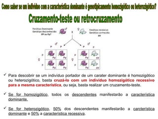  Para descobrir se um indivíduo portador de um carater dominante é homozigótico
ou heterozigótico, basta cruzá-lo com um indivíduo homozigótico recessivo
para a mesma característica, ou seja, basta realizar um cruzamento-teste.
 Se for homozigótico, todos os descendentes manifestarão a característica
dominante.
 Se for heterozigótico, 50% dos descendentes manifestarão a carcterística
dominante e 50% a característica recessiva.
 