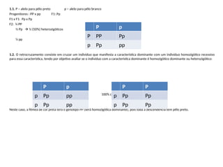 1.1. P – alelo para pêlo preto p – alelo para pêlo branco
Progenitores : PP x pp F1: Pp
F1 x F1: Pp x Pp
F2: ¼ PP
½ Pp  ½ (50%) heterozigóticos
¼ pp
1.2. O retrocruzamento consiste em cruzar um indivíduo que manifesta a característica dominante com um indivíduo homozigótico recessivo
para essa característica, tendo por objetivo avaliar se o indivíduo com a característica dominante é homozigótico dominante ou heterozigótico:
50% com pêlo preto (Pp) 100% com pêlo preto (Pp)
50% com pêlo branco (pp)
Neste caso, a fêmea de cor preta terá o genótipo PP (será homozigótica dominante), pois toda a descendência tem pêlo preto.
P p
P PP Pp
p Pp pp
P p
p Pp pp
p Pp pp
P P
p Pp Pp
p Pp Pp
 