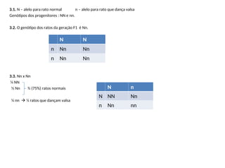 3.1. N – alelo para rato normal n – alelo para rato que dança valsa
Genótipos dos progenitores : NN e nn.
3.2. O genótipo dos ratos da geração F1 é Nn.
3.3. Nn x Nn
¼ NN
½ Nn ¾ (75%) ratos normais
¼ nn  ¼ ratos que dançam valsa
N N
n Nn Nn
n Nn Nn
N n
N NN Nn
n Nn nn
 