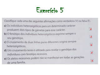 Exercício 5
V
F
V
F
V
 