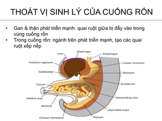 1-HINH_THANH_HE_TIEU_HOA_Student_02_May_2018_.pdf