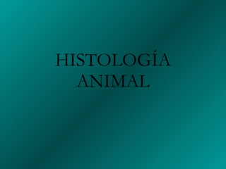 HISTOLOGÍA ANIMAL 
