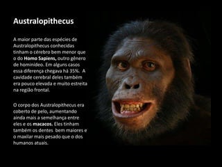 Australopithecus
A maior parte das espécies de
Australopithecus conhecidas
tinham o cérebro bem menor que
o do Homo Sapiens, outro gênero
de hominídeo. Em alguns casos
essa diferença chegava há 35%. A
cavidade cerebral deles também
era pouco elevada e muito estreita
na região frontal.
O corpo dos Australopithecus era
coberto de pelo, aumentando
ainda mais a semelhança entre
eles e os macacos. Eles tinham
também os dentes bem maiores e
o maxilar mais pesado que o dos
humanos atuais.
 