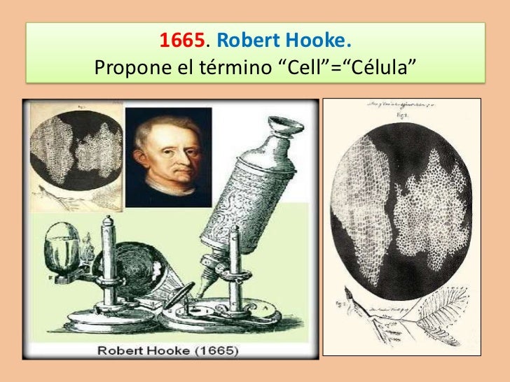 HISTORIA DE LA CITOLOGÍA
