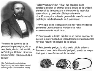 Rudolf Virchow (1821-1902) fue el padre de la patología celular al  afirmar que la célula es la unidad elemental de la estructura y formación de todos los seres vivos, y que toda célula proviene de otra..Construyó una teoría general de la enfermedad (patología celular) basada en 3 principios: 1º Principio de la localización: no hay "enfermedades generales", todo proceso morboso se halla anatómicamente localizado.  2º Principio de la lesión celular: si se quiere conocer lo que en la enfermedad es verdaderamente fundamental hay que recurrir al estudio de la célula.  3º Principio del peligro: la vida de la célula enferma lleva en sí una cierta idea de "peligro", y esto es lo que distingue a la enfermedad de la salud "Formulo la doctrina de la generación patológica, de la neoplasia, dentro del sentido de la Patología Celular, diciendo simplemente:  Omnis cellula a cellula "  (Die Cellularpathologie in ihrer Begründung auf physiologische und pathologische Gewebelehre,  1858).  