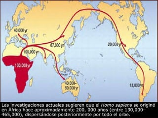 Las investigaciones actuales sugieren que el  Homo sapiens  se originó en África hace aproximadamente 200, 000 años   (entre 130,000–465,000), dispersándose posteriormente por todo el orbe.  