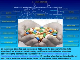 En las cuatro décadas que siguieron a 1907, año del descubrimiento de la vitamina C, se aislaron, sintetizaron y purificaron casi todas las vitaminas conocidas (14), destacando su papel como  nutrientes esenciales para el funcionamiento enzimático y metabólico.  El nombre  vitamina  fue introducido en 1913 por el alemán Casimir Funk, quien un año antes había descubierto la tiamina.   