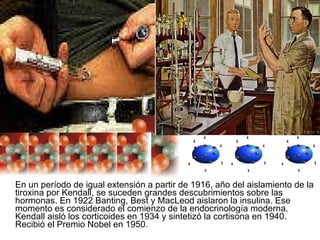 En un período de igual extensión a partir de 1916, año del aislamiento de la tiroxina por Kendall, se suceden grandes descubrimientos sobre las hormonas. En 1922 Banting, Best y MacLeod aislaron la insulina. Ese momento es considerado el comienzo de la endocrinología moderna. Kendall aisló los corticoides en 1934 y sintetizó la cortisona en 1940. Recibió el Premio Nobel en 1950.  