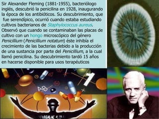 Sir Alexander Fleming (1881-1955), bacteriólogo inglés, descubrió la penicilina en 1928, inaugurando la época de los antibióticos.  Su descubrimiento, que  fue serendípico, ocurrió  cuando estaba estudiando cultivos bacterianos de  Staphylococcus aureus . Observó que cuando se contaminaban las placas de cultivo con un  hongo  microscópico del género  Penicillium  ( Penicillium notatum ) éste inhibía el crecimiento de las bacterias debido a la producción de una sustancia por parte del  Penicillium , a la cual llamó penicilina. Su descubrimiento  tardó 15 años en hacerse disponible para usos terapéuticos 