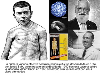 La primera vacuna efectiva contra la poliomielitis fue desarrollada en 1952 por Jonas Salk, quien trabajó en la década de 1940 con una vacuna contra la influenza. Albert Sabin en 1960 desarrolló otra versión oral con virus vivos atenuados 