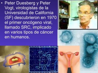 Peter Duesberg y Peter Vogt, virologistas de la Universidad de California (SF) descubrieron en 1970 el primer oncógeno viral, llamado SRC, implicado en varios tipos de cáncer en humanos.  