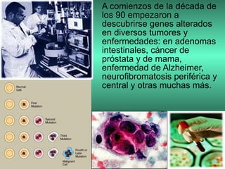 A comienzos de la década de los 90 empezaron a descubrirse genes alterados en diversos tumores y enfermedades: en adenomas intestinales, cáncer de próstata y de mama, enfermedad de Alzheimer, neurofibromatosis periférica y central y otras muchas más.  