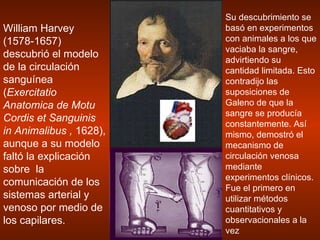 William Harvey (1578-1657)  descubrió el modelo de la circulación sanguínea ( Exercitatio Anatomica de Motu Cordis et Sanguinis in Animalibus   ,  1628), aunque a su modelo faltó la explicación sobre  la comunicación de los sistemas arterial y venoso por medio de los capilares.  Su descubrimiento se basó en experimentos con animales a los que vaciaba la sangre, advirtiendo su cantidad limitada. Esto contradijo las suposiciones de Galeno de que la sangre se producía constantemente. Así mismo, demostró el mecanismo de circulación venosa mediante experimentos clínicos. Fue el primero en utilizar métodos cuantitativos y observacionales a la vez 