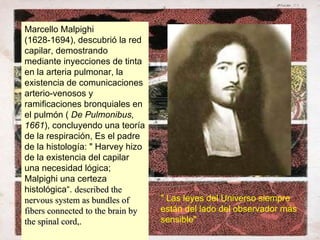 Marcello Malpighi (1628-1694), descubrió la red capilar, demostrando mediante inyecciones de tinta en la arteria pulmonar, la existencia de  comunicaciones arterio-venosos y ramificaciones bronquiales en el pulmón (  De Pulmonibus, 1661 ), concluyendo una teoría de la respiración, Es el padre de la histología: " Harvey hizo de la existencia del capilar una necesidad lógica; Malpighi una certeza histológica“.  described the nervous system as bundles of fibers connected to the brain by the spinal cord,.  " Las leyes del Universo siempre están del lado del observador más sensible"  