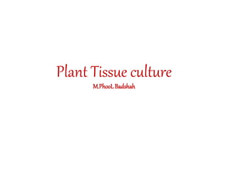 Plant Tissue culture
M.PhooL Badshah
 