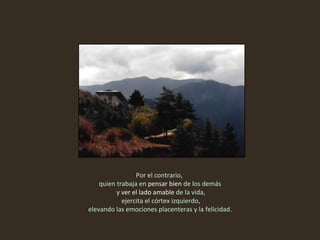 Por el contrario,  quien trabaja en  pensar bien  de los demás y  ver el lado amable  de la vida, ejercita el córtex izquierdo, elevando las emociones placenteras y la felicidad.  