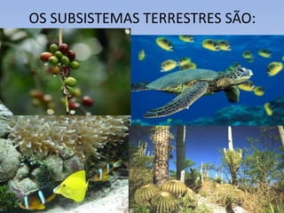 OS SUBSISTEMAS TERRESTRES SÃO:
 
