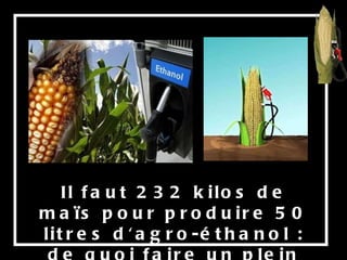 Il faut 232 kilos de maïs pour produire 50 litres d'agro-éthanol : de quoi faire un plein de voiture,  