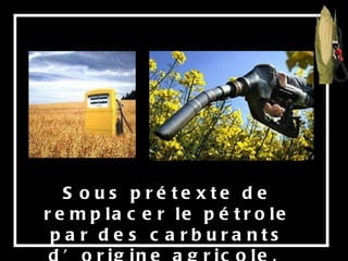 Sous prétexte de remplacer le pétrole par des carburants d’origine agricole,  