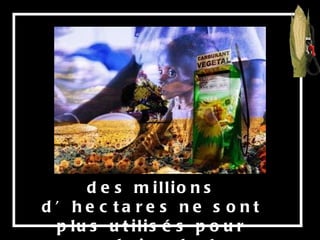 des millions d’hectares ne sont plus utilisés pour produire de la nourriture, 