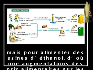 mais pour alimenter des usines d’éthanol. d’où une augmentations des prix alimentaires sur les 5 continents. 