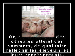 Or, comme le prix des céréales atteint des sommets, de quoi faire réfléchir les éleveurs et leurs représentants. 