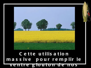 Cette utilisation massive  pour remplir le ventre glouton de nos voitures provoque aussi les déforestations, 