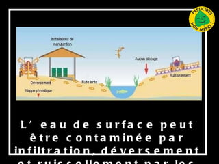 L’eau de surface peut être contaminée par infiltration, déversement et ruissellement par les pesticides. 