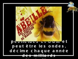 L’utilisation des pesticides et OGM et peut être les ondes, décime chaque année des milliards d’abeilles. 