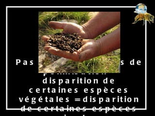 Pas d’abeilles = pas de pollinisation = disparition de certaines espèces végétales = disparition de certaines espèces animales…  