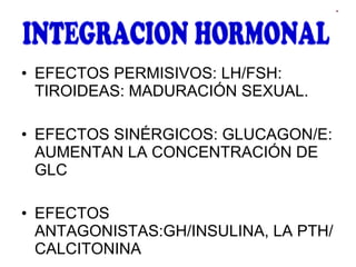 EFECTOS PERMISIVOS: LH/FSH: TIROIDEAS: MADURACIÓN SEXUAL. EFECTOS SINÉRGICOS: GLUCAGON/E: AUMENTAN LA CONCENTRACIÓN DE GLC EFECTOS ANTAGONISTAS:GH/INSULINA, LA PTH/CALCITONINA  