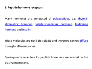 1. Peptide hormone receptors
Many hormones are composed of polypeptides, e.g. thyroid-
stimulating hormone, follicle-stimulating hormone, leutinizing
hormone and insulin.
These molecules are not lipid-soluble and therefore cannot diffuse
through cell membranes.
Consequently, receptors for peptide hormones are located on the
plasma membrane.
 