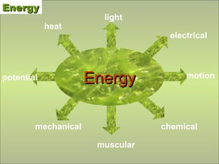 heat Energy chemical light heat motion electrical potential muscular mechanical Energy 