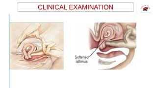 CLINICAL EXAMINATION
 
