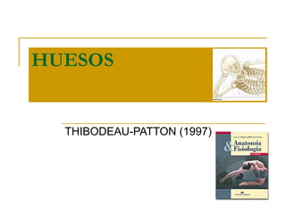HUESOS THIBODEAU-PATTON (1997) 