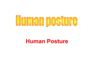 Human Posture 
 