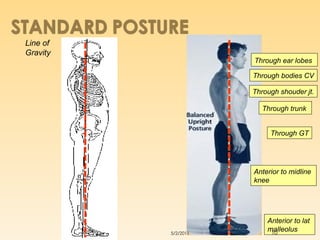 Comprehensive Overview of Human Posture: Types, Analysis, and Factors | PPT