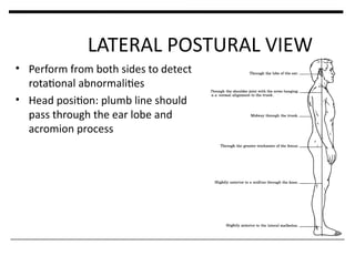 Comprehensive Overview of Human Posture: Types, Analysis, and Factors | PPT