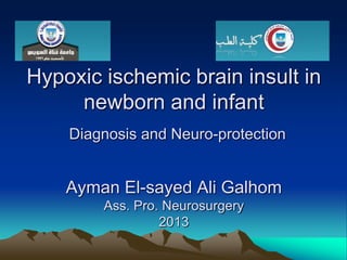 Hypoxic ischemic brain insult in
newborn and infant
Diagnosis and Neuro-protection

Ayman El-sayed Ali Galhom
Ass. Pro. Neurosurgery
2013

 