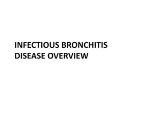 Infectious Bronchitis
Disease Overview
 