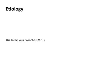 Plan of talk
 Introduction
 Etiology
 Transmission
 Economic importance
 Pathogenesis
 Clinical signs
 Post mortem lesions
 Diagnosis
 